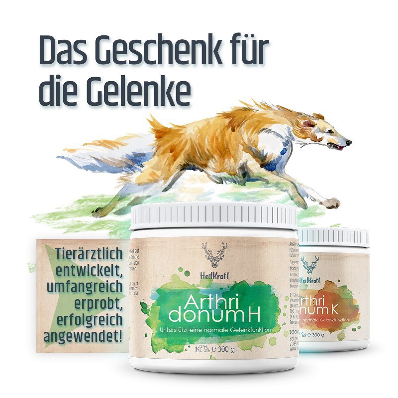 Heilkraft Gelenke & Bewegung für Tiere