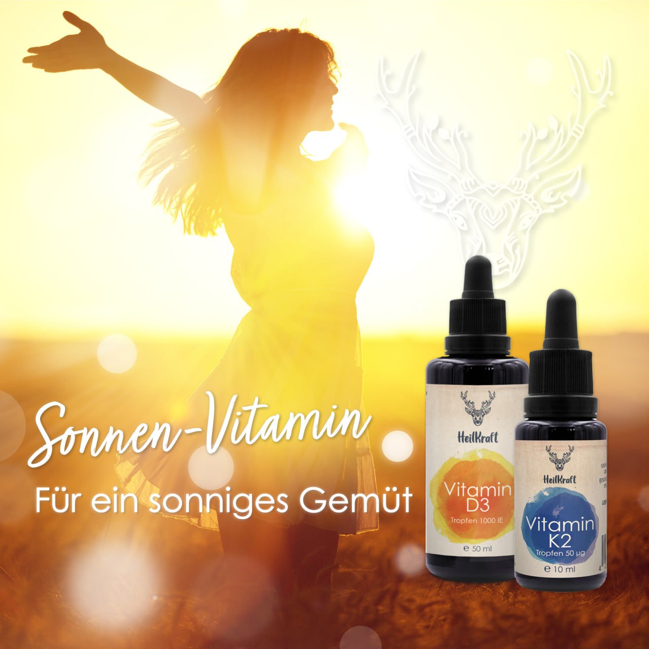 Heilkraft Immunsystem & Energie